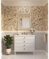 Quillan 3-Light Transitional Bath & Vanity Light White Plaster