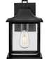 Nolan 1-Light Small Wall Mount Lantern in Black