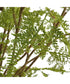 Woodland Fern Centerpiece