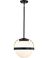 Lakeshore 1-Light Pendant Matte Black