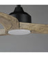 Drifter 52 inch Outdoor Fan w LED Black / Driftwood