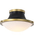 Lafayette 1-Light Close-to-Ceiling Matte Black