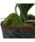 Laris Orchid Drop-In