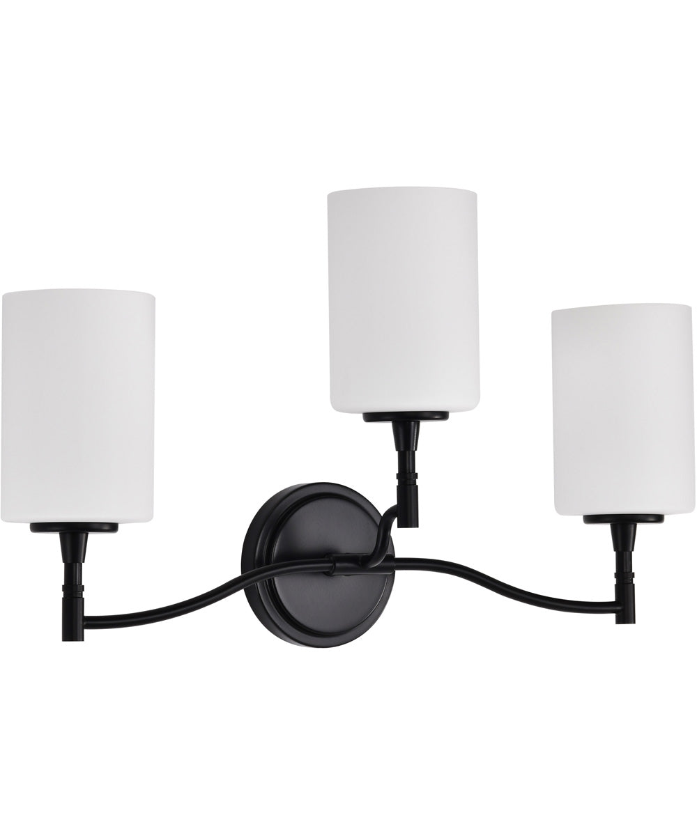 Liam 3-Light Vanity & Wall Matte Black