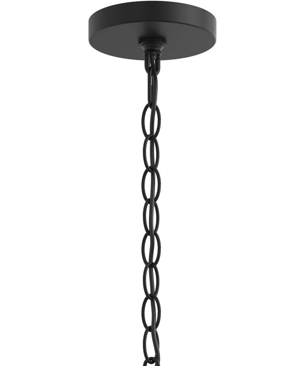 Ilia 1-Light Pendant with Clear Glass Shade Matte Black