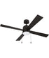 Energy Star McCoy 52" 4 Blade Ceiling Fan 1-Light Fan Flat Black
