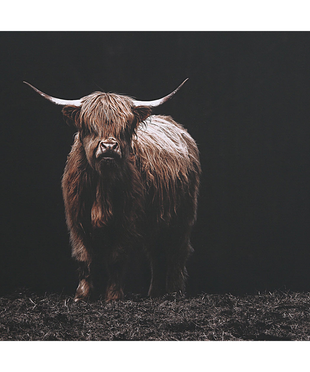 King Of The Hill Framed Bovine Print