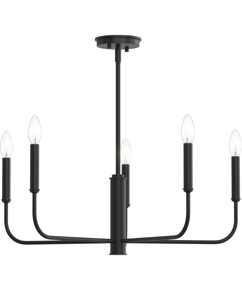 Reines 5-Light Medium Chandelier Matte Black