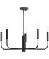 Reines 5-Light Medium Chandelier Matte Black