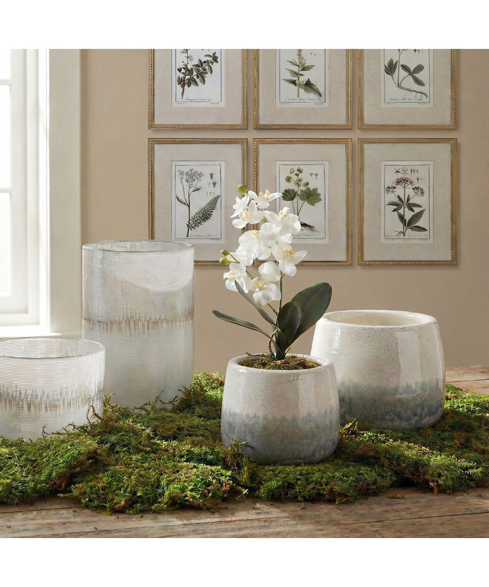 Laris Orchid Drop-In