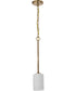 Liam 1-Light Pendant Burnished Brass