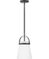 Tori 1-Light Small Single Light Convertible Pendant in Black