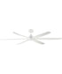 Albatross 72 inch 6-Blade Marine Grade Fan Matte White