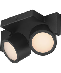 Embrace 2-Light LED Flush Black