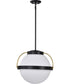 Lakeshore 1-Light Pendant Matte Black
