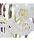 Eterna Orchid Centerpiece & Vase