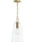 Jheni 1-Light Pendant with Clear Glass Shade Brushed Gold