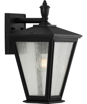 Cardiff 1-Light Medium Wall Lantern with DURASHIELD Textured Black