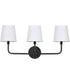 Dawson 3-Light Vanity Matte Black