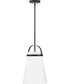Tori 1-Light Small Single Light Pendant in Black