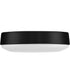 Charming Light Kit  1-Light Accessory Flat Black