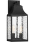 Blueberry Trail 2 Light Wall Lantern Black