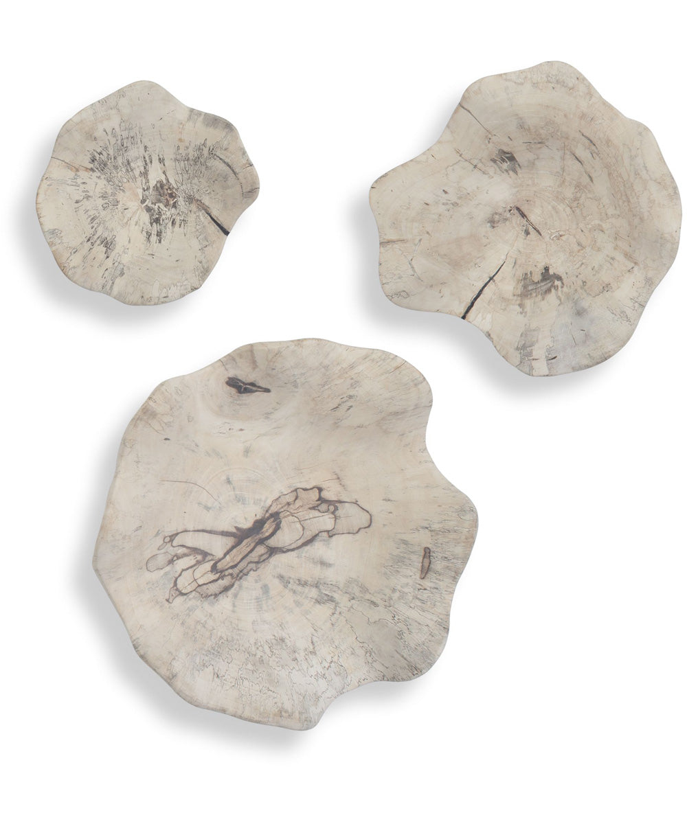 Teo Bleached Wood Wall Decor Set of 3
