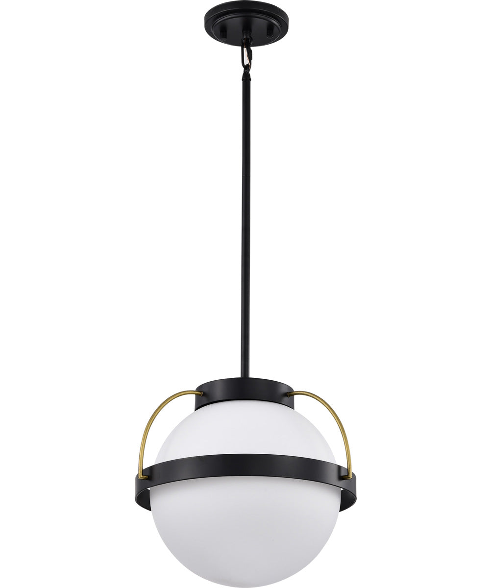 Lakeshore 1-Light Pendant Matte Black
