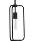 Bonn 1-Light Farmhouse Pendant Light Matte Black