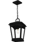Huck Large 1-light Outdoor Pendant Light  Coastal Armour Aluminum Earth Black