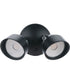 LED Flood 2-Light Outdoor Lighting Midnight