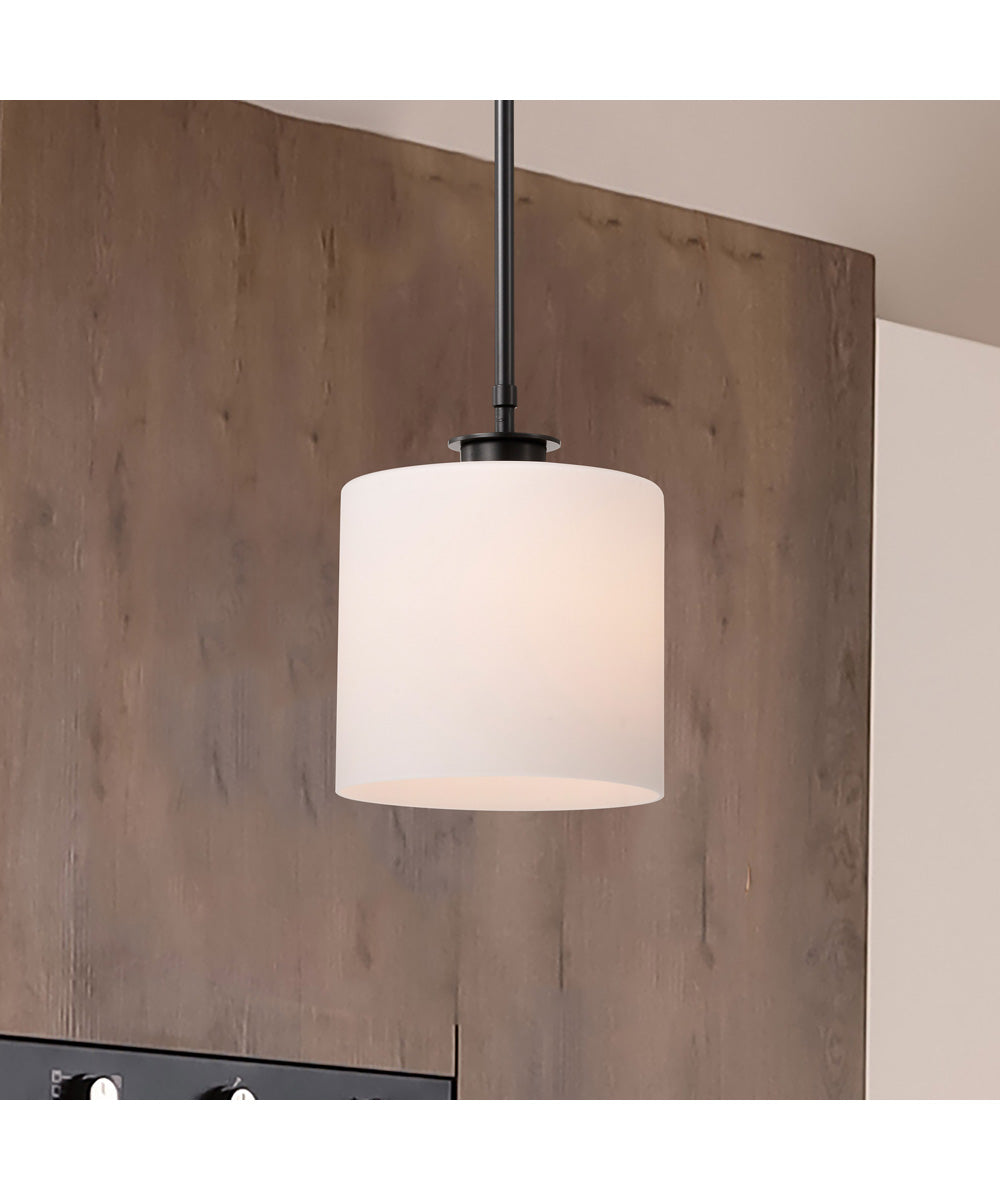 Warren 1-Light Pendant Gun Metal