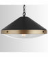 Polaris 1-Light Pendant Aged Brass and Black