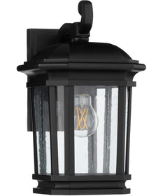 Murphy 1-light Outdoor Wall Lantern Matte Black