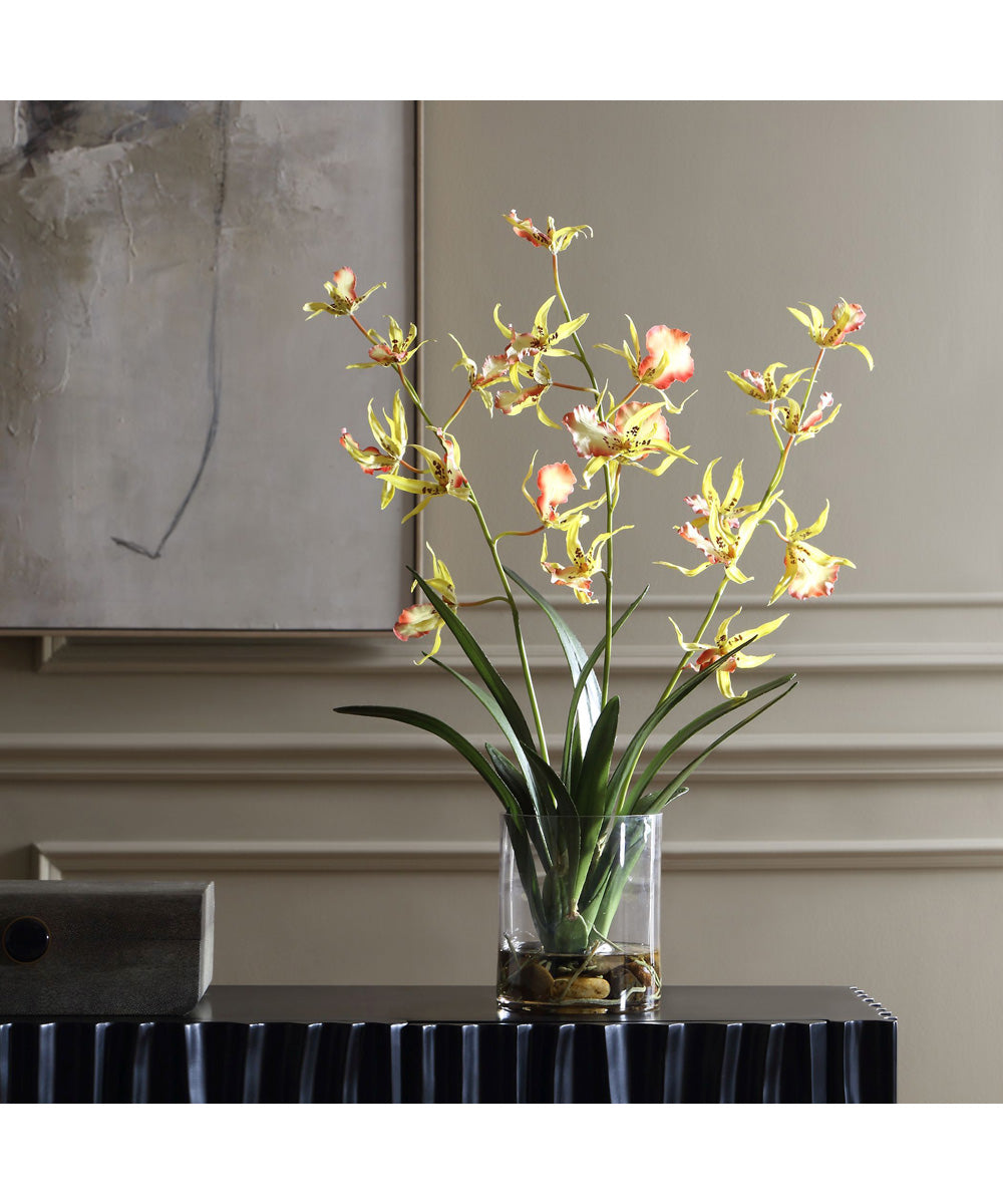 Spider Orchid In Glass Vase