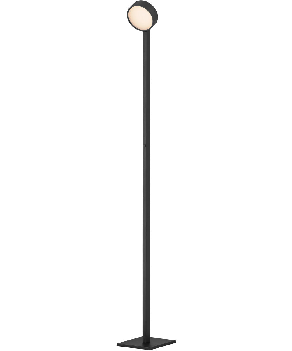 Embrace Adjustable Floor Lamp Black
