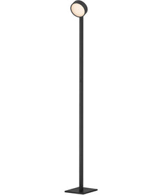 Embrace Adjustable Floor Lamp Black