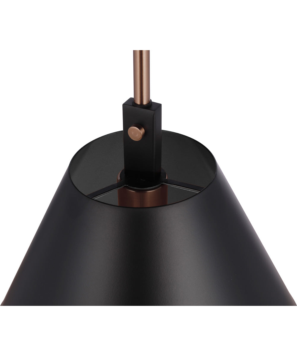 Blake 1-Light Lighting Flat Black/Satin Brass