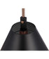 Blake 1-Light Lighting Flat Black/Satin Brass
