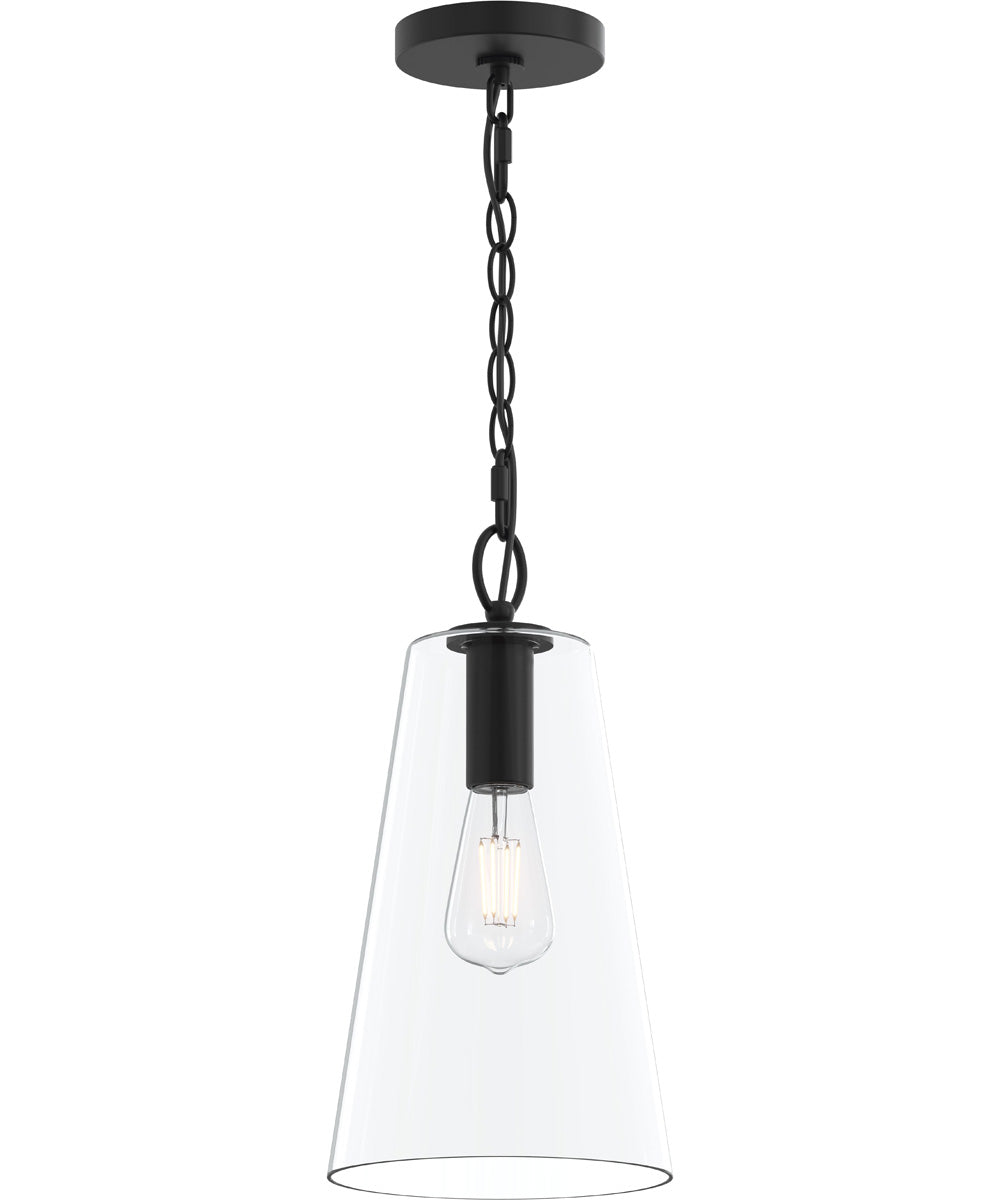 Jheni 1-Light Pendant with Clear Glass Shade Matte Black