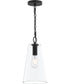 Jheni 1-Light Pendant with Clear Glass Shade Matte Black