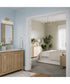 Ilia 3-Light Bath Vanity with Clear Glass Shade Brushed Gold