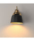 Hollis 1-Light Sconce Natural Aged Brass