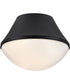 Haddie 1-Light Small Flush Mount in Black