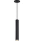 Century  Pendant Matte Black / Brushed Nickel