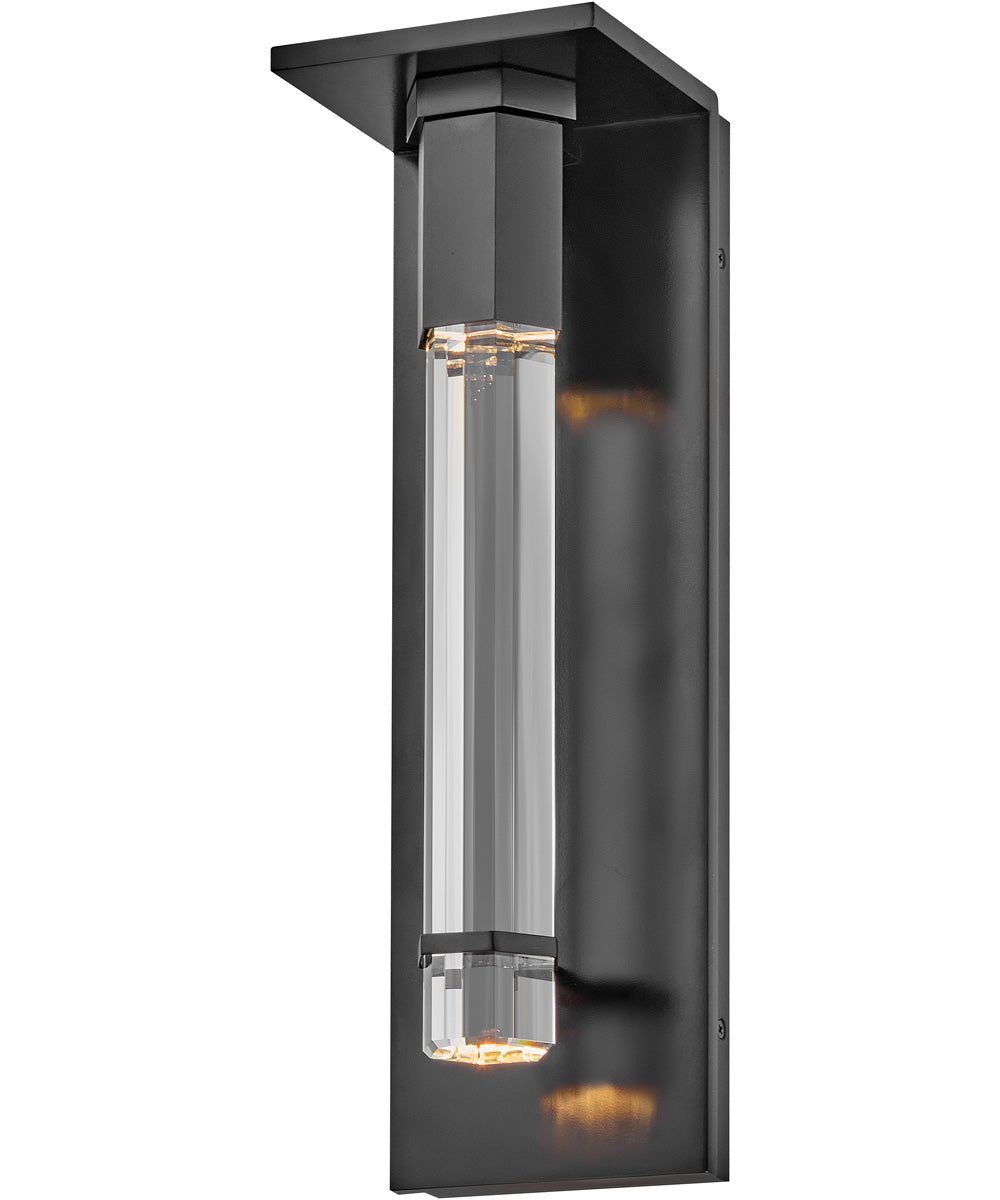 Cecily LED-Light Medium Wall Mount Lantern in Black