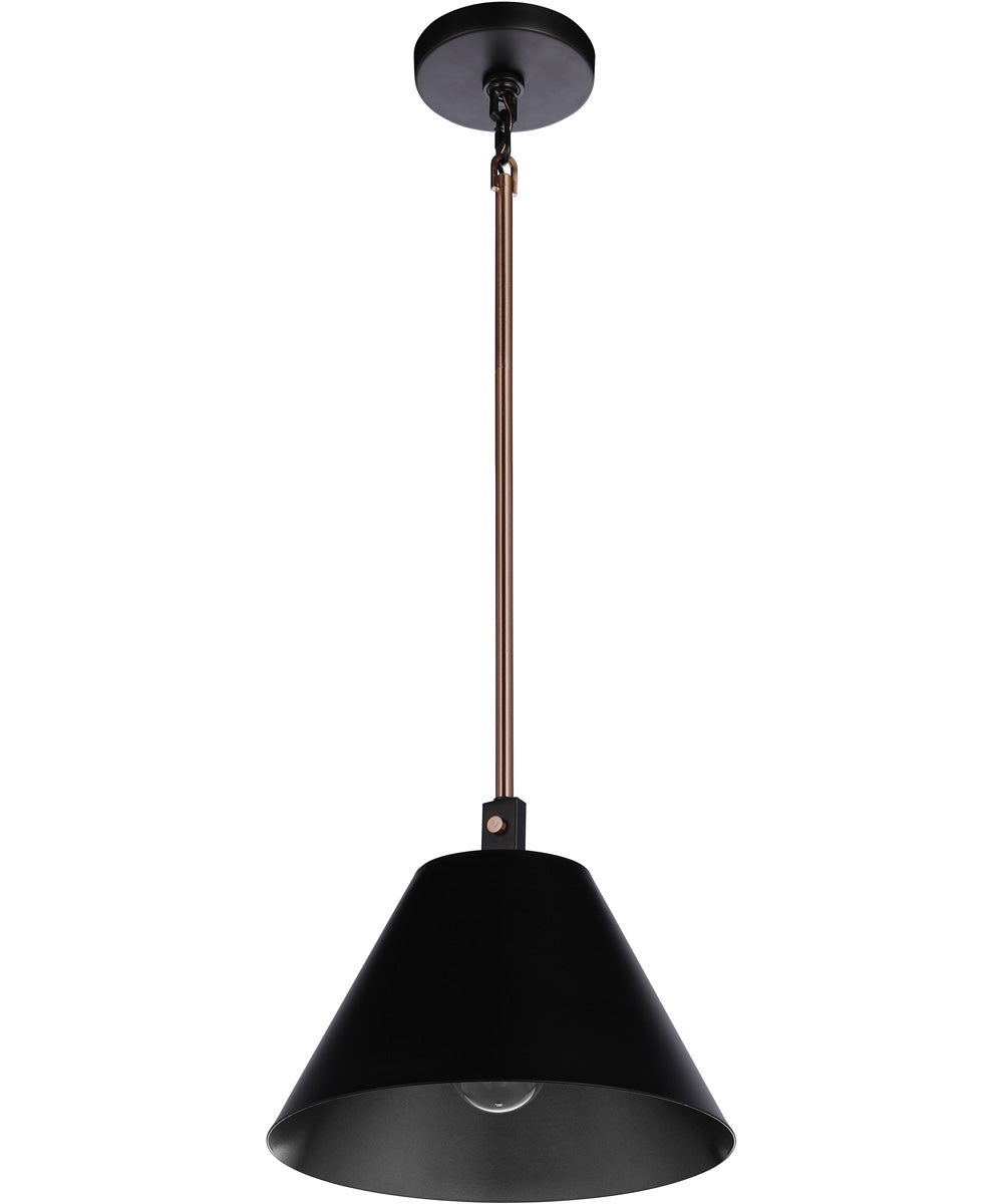 Blake 1-Light Lighting Flat Black/Satin Brass
