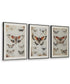 Jossletts Wall Art Set Set of 3 Orange/Black/Ivory