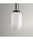 Alisse 1-Light Pendant Light Matte Black