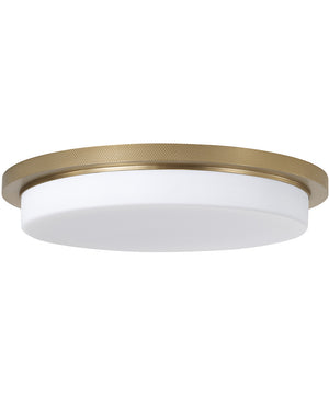 Dominic 1-Light Flush Aged Brass